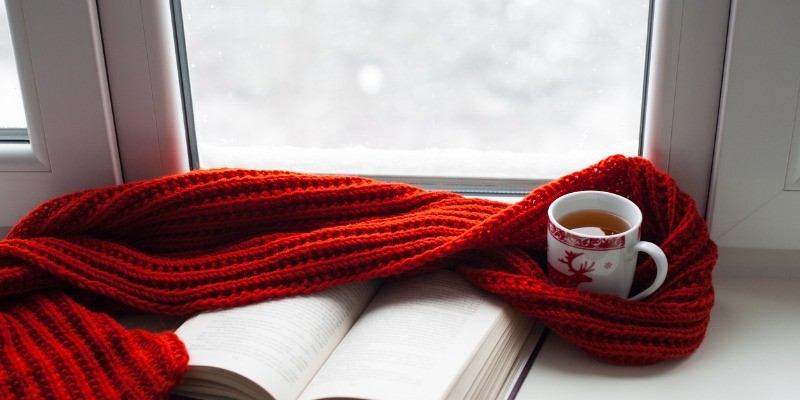 book, cup and red blanket against snowy window